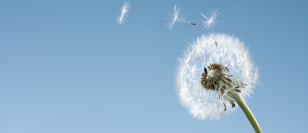 首页|bifa必发集团中国区官网